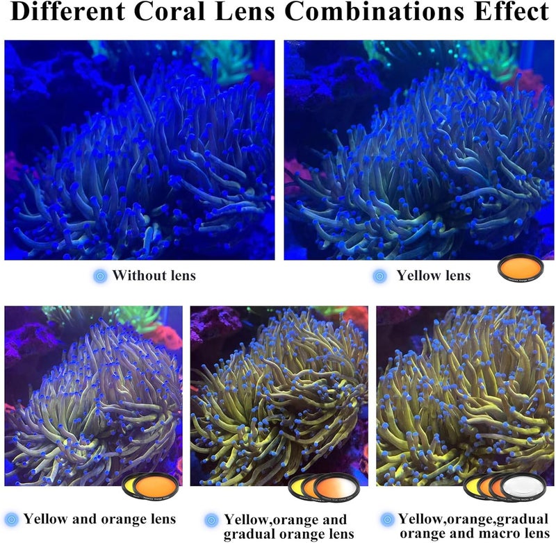 Weramics Coral Lens Aquarium Reef Filter Lens Kits for Phone 8 Coral Lenses Kit Including Orange Gradual-Orange Yellow Gradual-Yellow Pink Macro Start and Polarized CPL len - Image 3